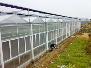 陽光板（pc）溫室